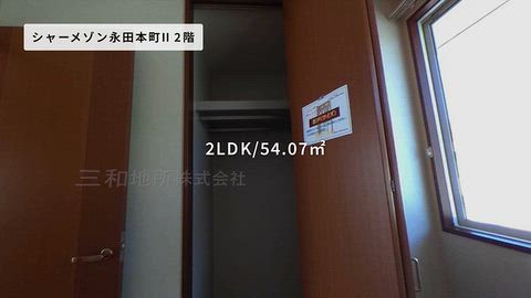 動画