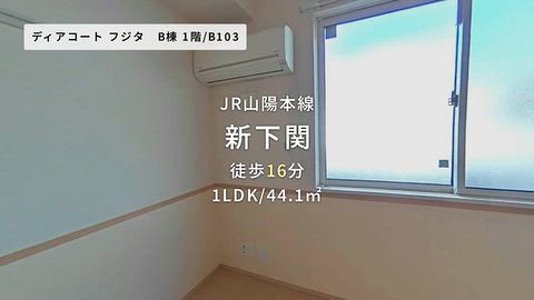 動画