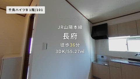 動画
