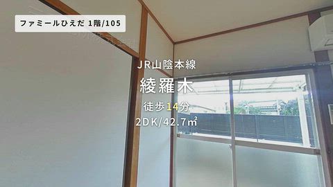 動画