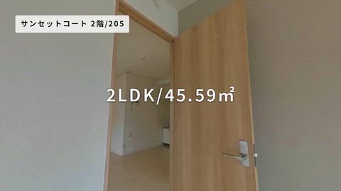 紹介ムービー