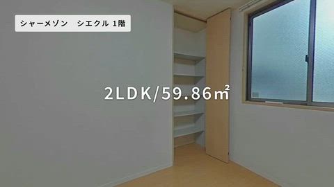 紹介ムービー