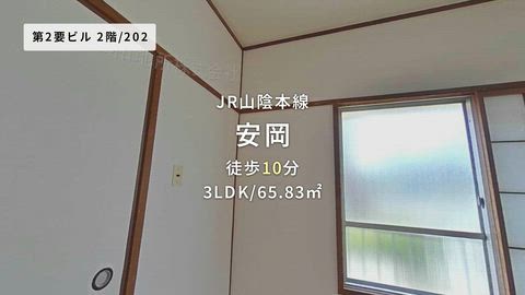 動画
