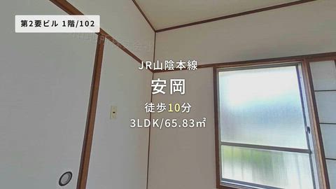 紹介ムービー