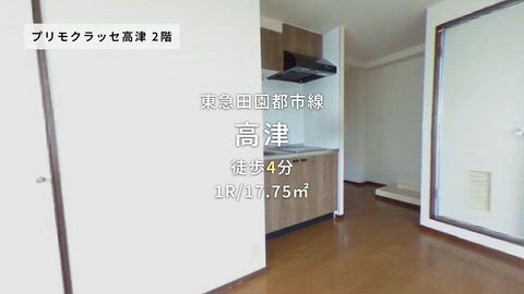 動画