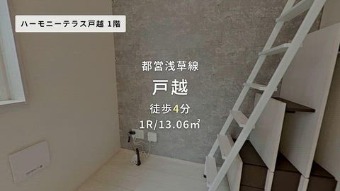 動画