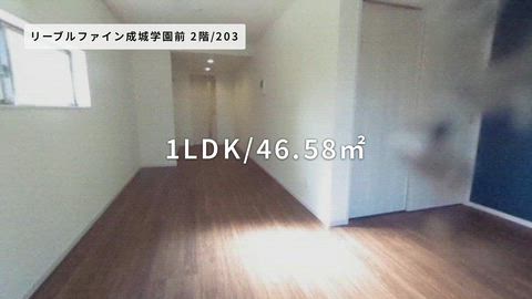 動画