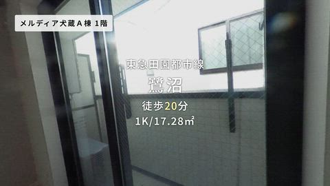 動画