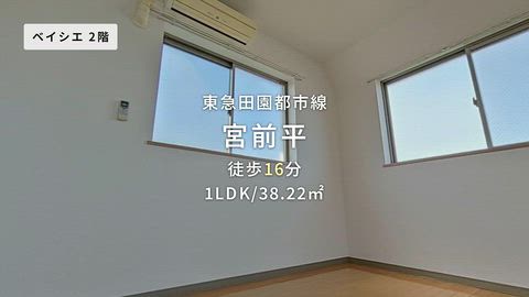 動画