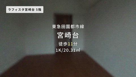 動画
