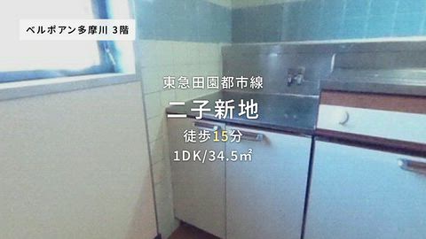 動画