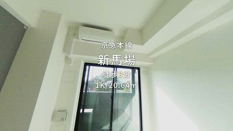 動画