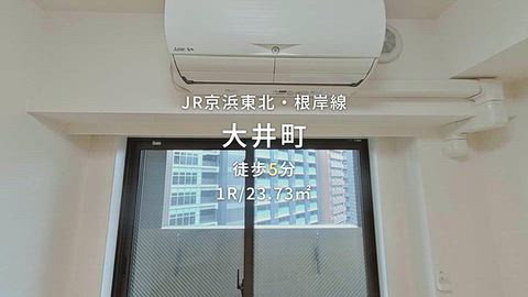 動画