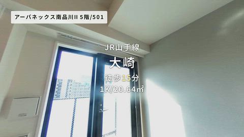 動画