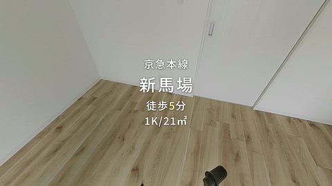 動画