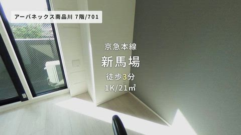 動画