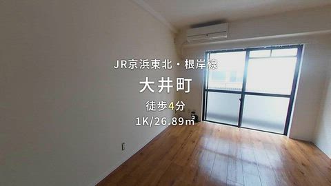 動画
