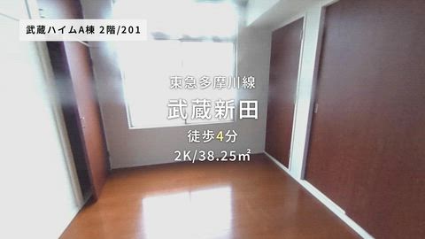 紹介ムービー