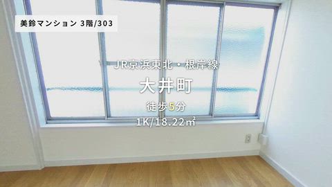 動画