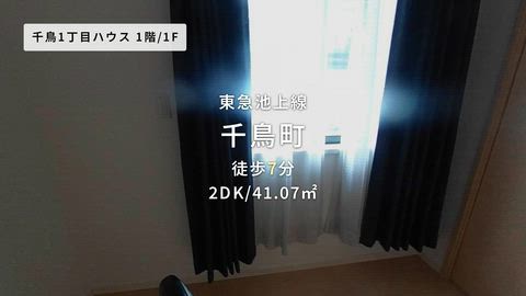 動画