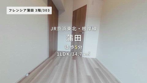 動画