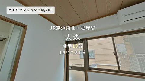 動画
