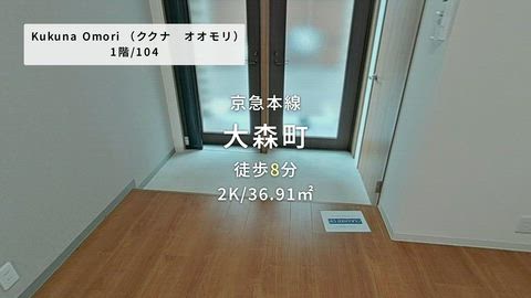 動画