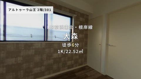動画