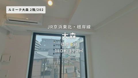 動画