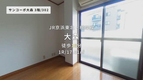 動画