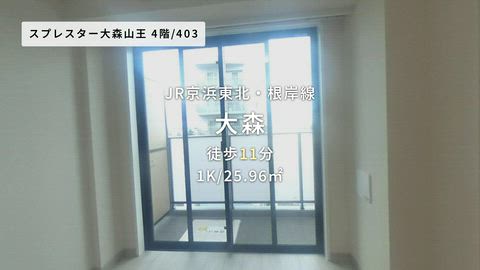 動画