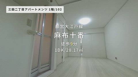 動画