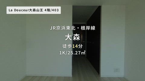 動画