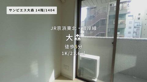 動画