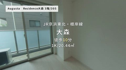 動画