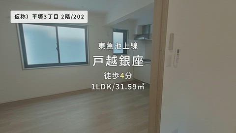 動画