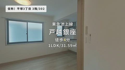 動画