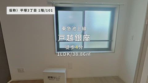 動画