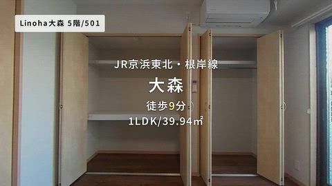 動画