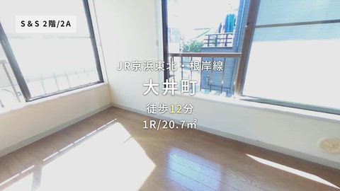 動画
