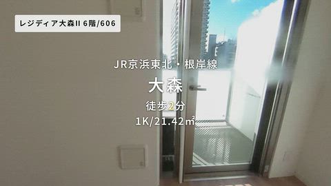 動画