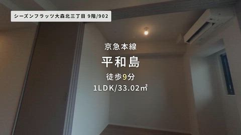 動画