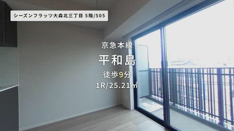 動画
