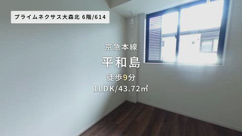 動画