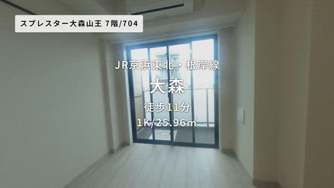 動画
