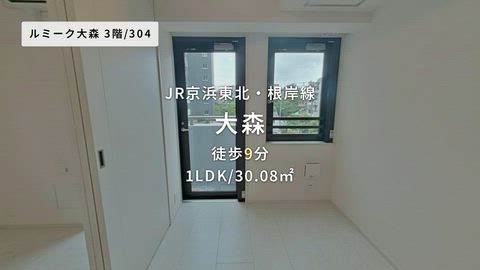 動画