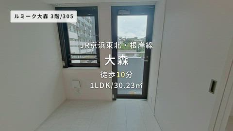 動画