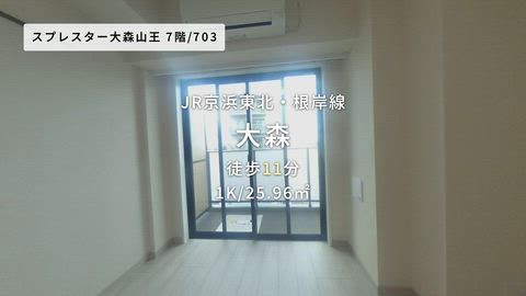 動画