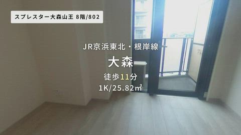 動画
