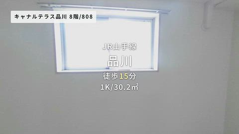 動画